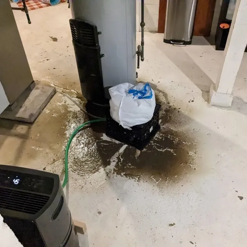 Sewage Backup Cleanup Service in Picayune, MS